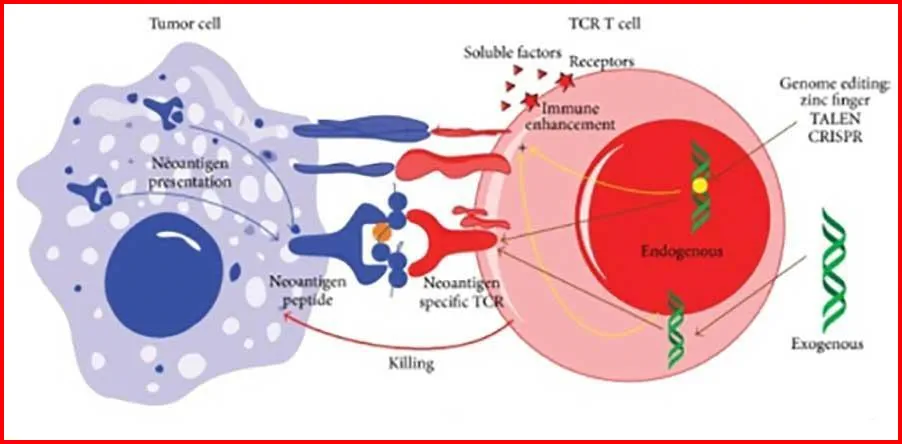 bout Lynch Syndrome
