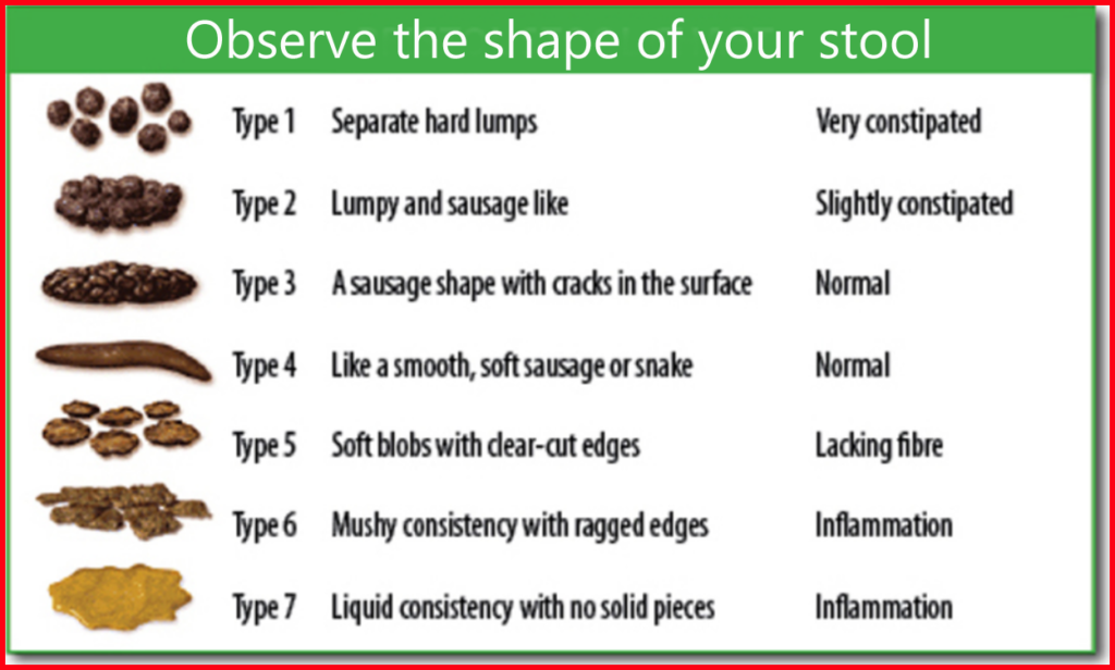 Different stool shape 