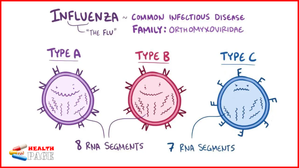 influenza a vs b