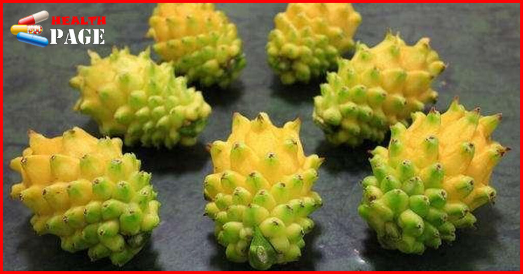 Yellow Dragon Fruit