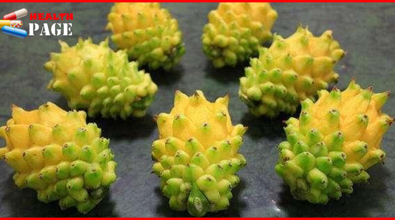 Yellow Dragon Fruit