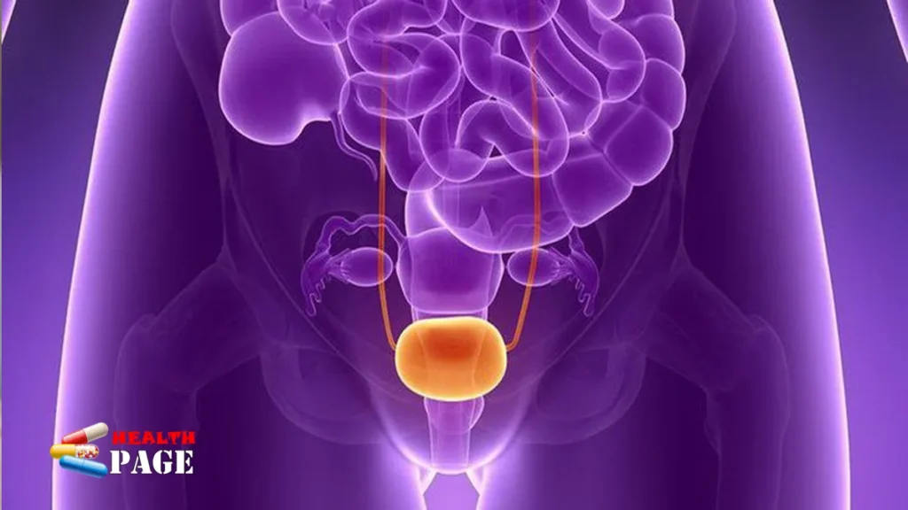 A comforting clinical view of a patient reviewing an early urological symptom checklist during a professional consultation to discover how i knew i had bladder cancer.