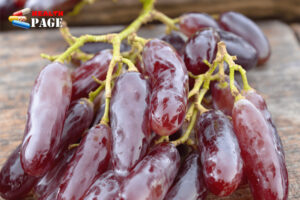 Witch Finger grapes