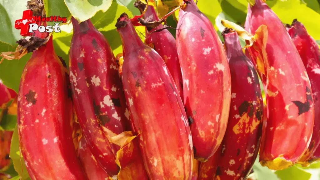 Red Banana