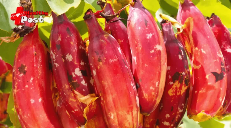 Red Banana