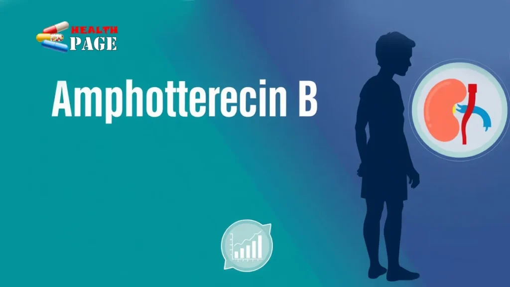 amphotericin b